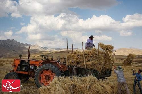 امکان اخذ مالیات از فعالیت‎های کشاورزی در ایران وجود ندارد