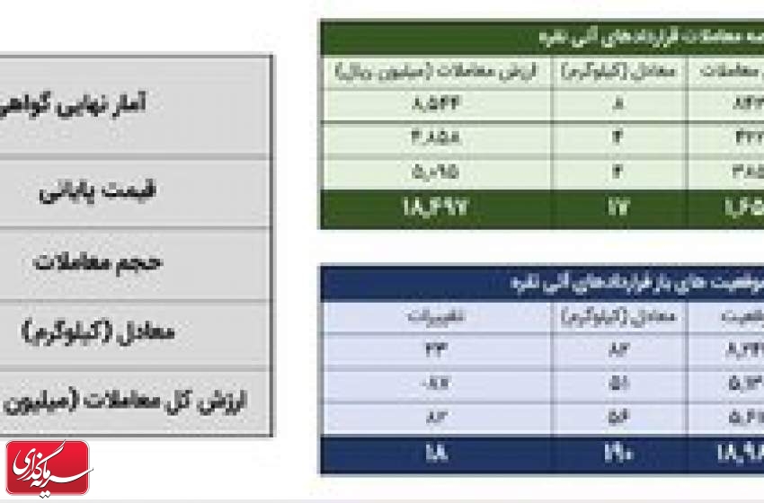 معامله ۸۵ کیلوگرم شمش نقره در بورس کالا