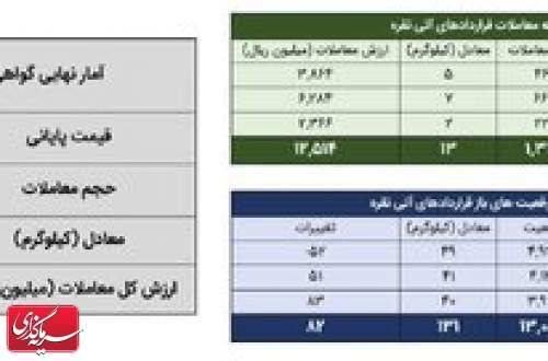 معامله ۱۶۶ کیلوگرم شمش نقره در بورس کالا
